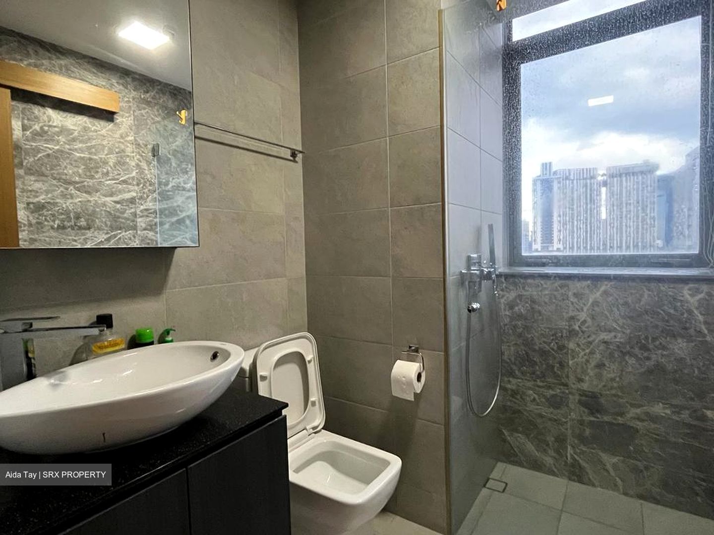 Spottiswoode Suites (D2), Apartment #488517331